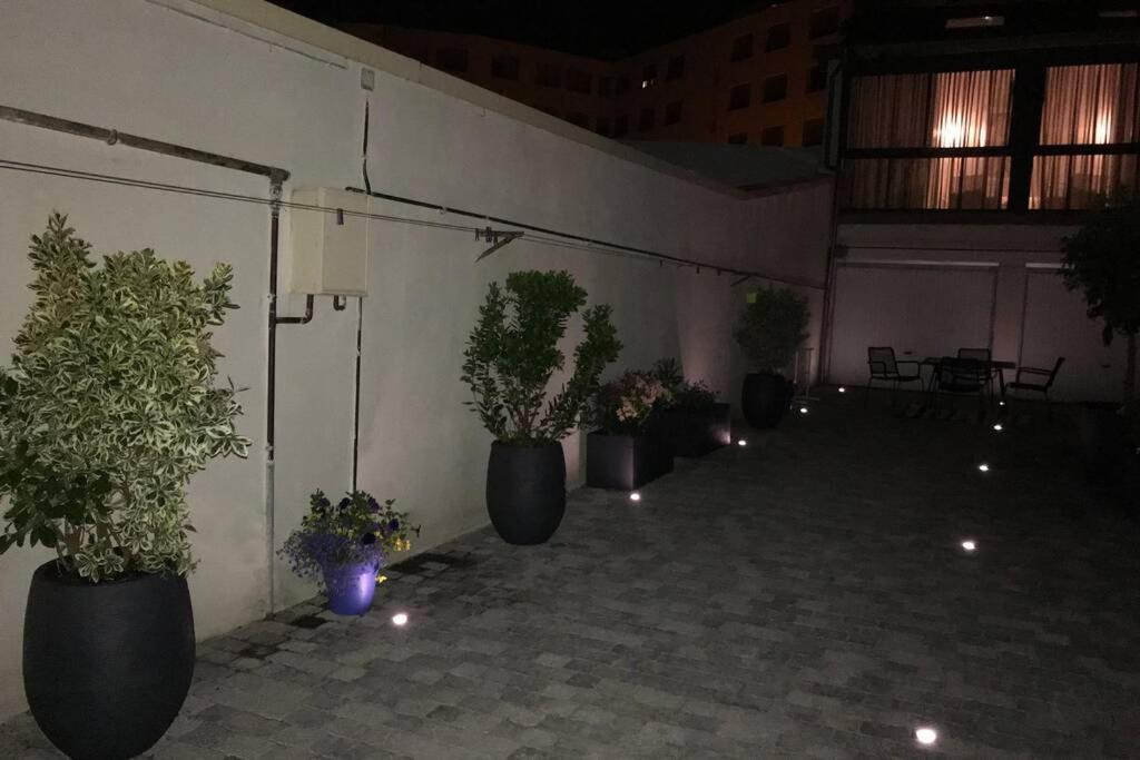Апартаменти Rare Petit Cocon F1 Calme Possibilite Jacuzzi Hammam En Sus Шамальєр Екстер'єр фото